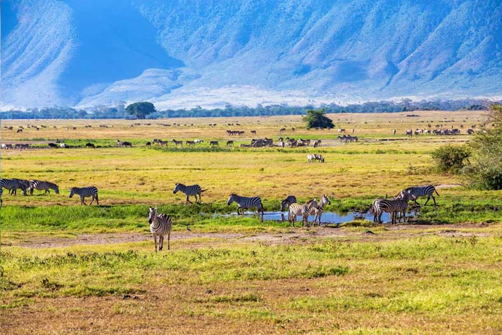 ngorongoro-03
